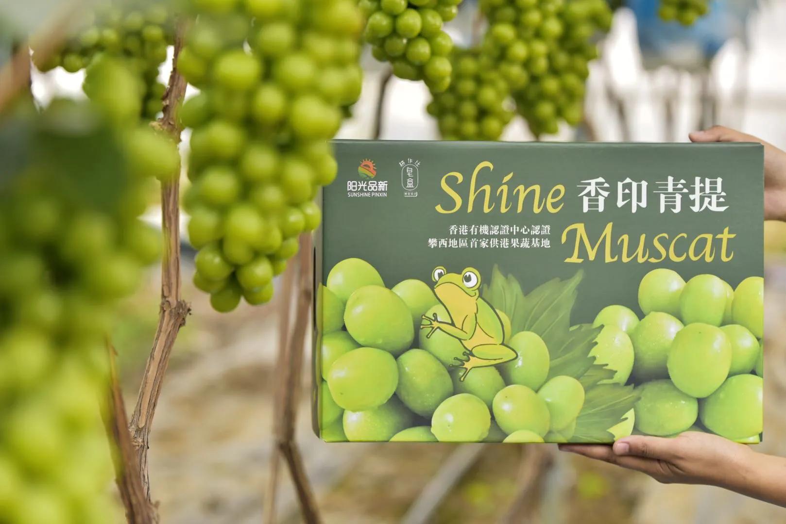 走遍田间.高端水果礼盒周期配，送出新意，送出新鲜