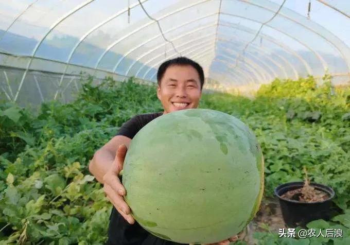 吃瓜群众也不好当，离不开一代人的努力，国人如何实现西瓜自由的