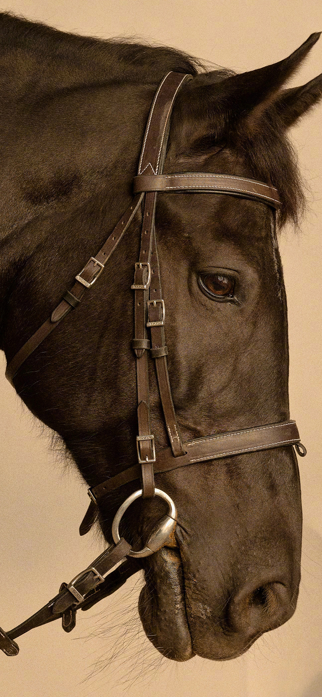 2023年手机壁纸,2023年最新款超清手机壁纸