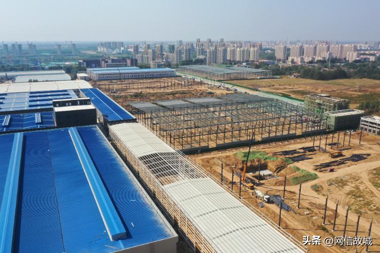 景县推动县域特色经济高质量发展,衡水市景县经济支柱产业