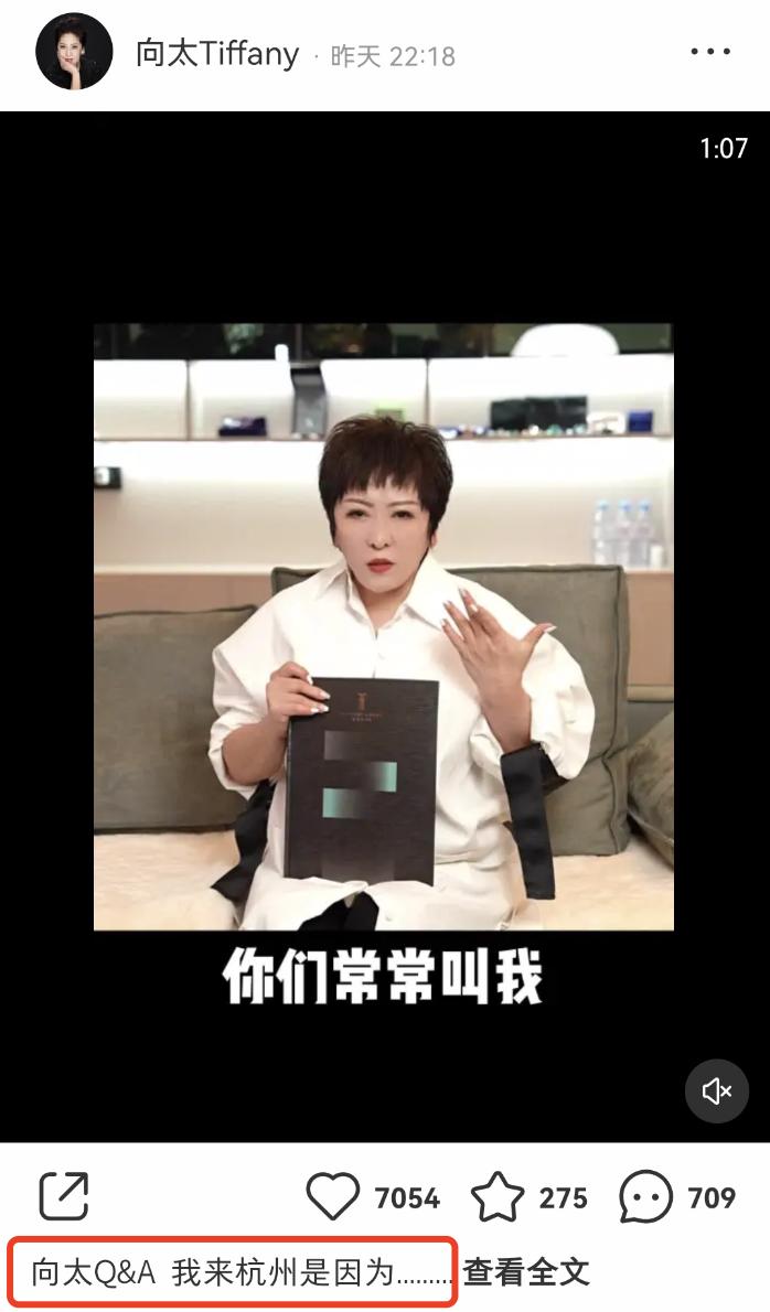 向太事业版图扩张，前往杭州买地盖房子做生意，亲自参与品牌设计