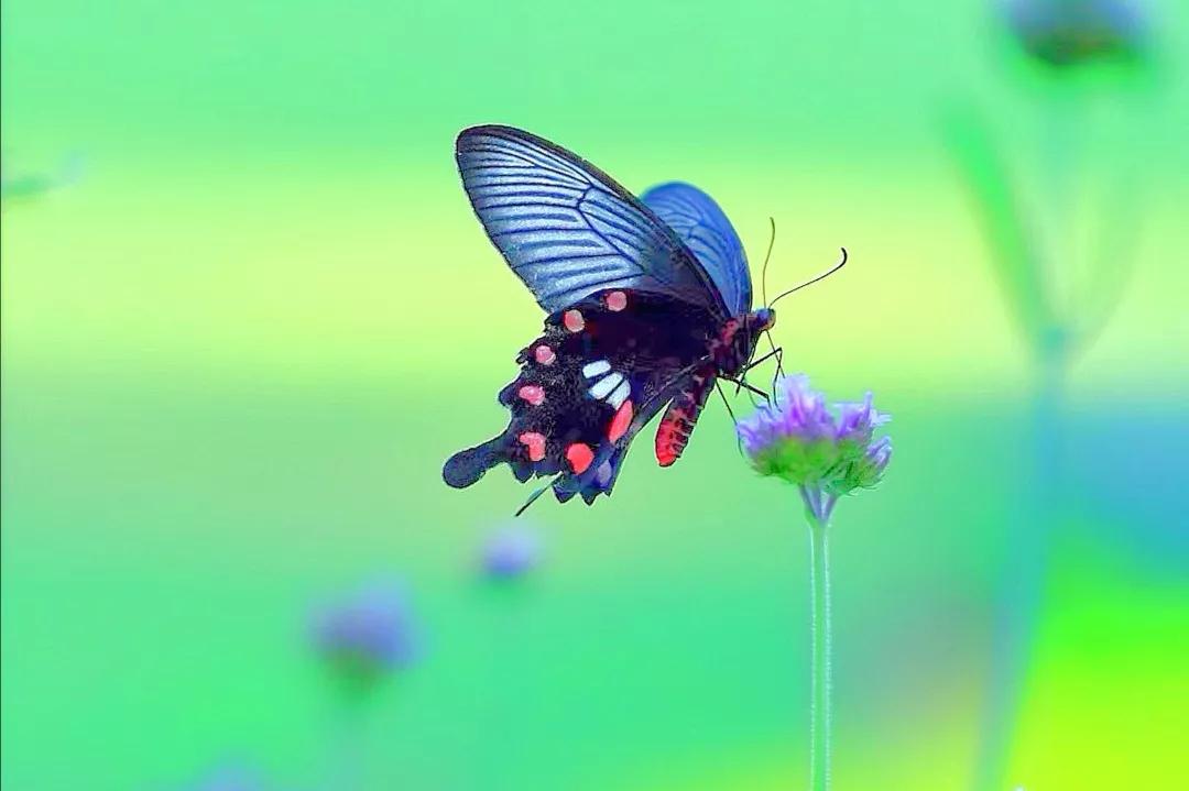 闪了腰怎么办,闪了腰怎么办视频