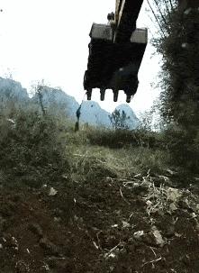 老鼠贴粘老鼠会死吗,老鼠贴粘到猫会自动掉吗