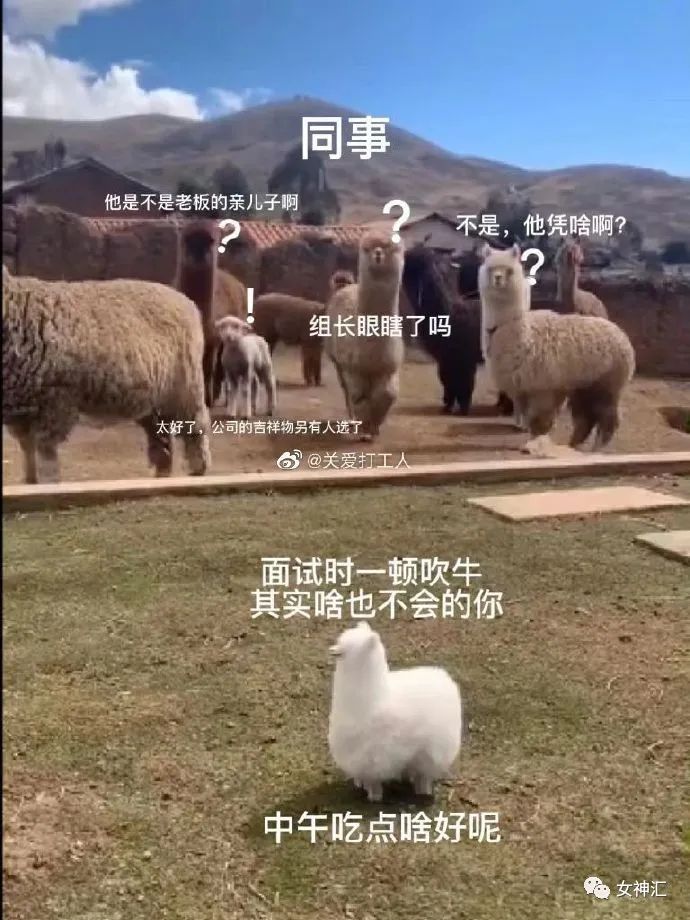 试穿绿色连裤袜,网购了一条金色的丝袜