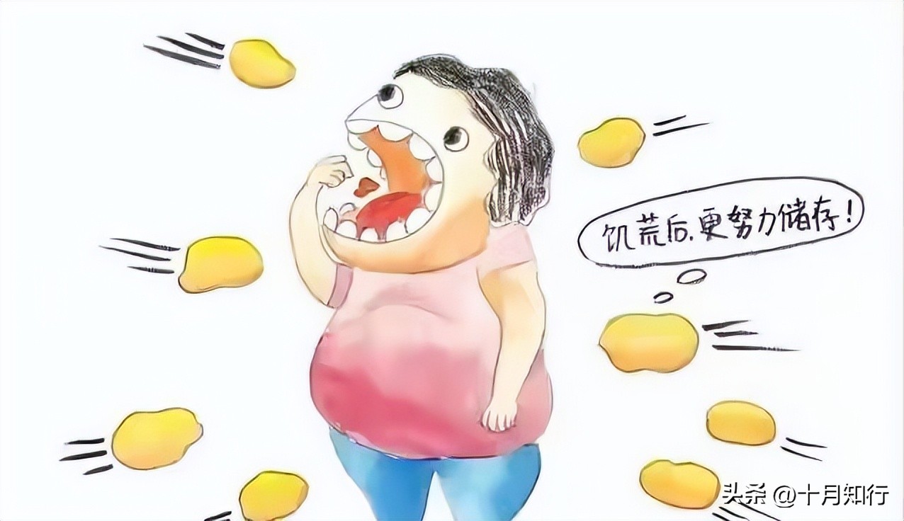 为什么节食减肥反而越减越胖,每个月节食减肥最多能瘦多少