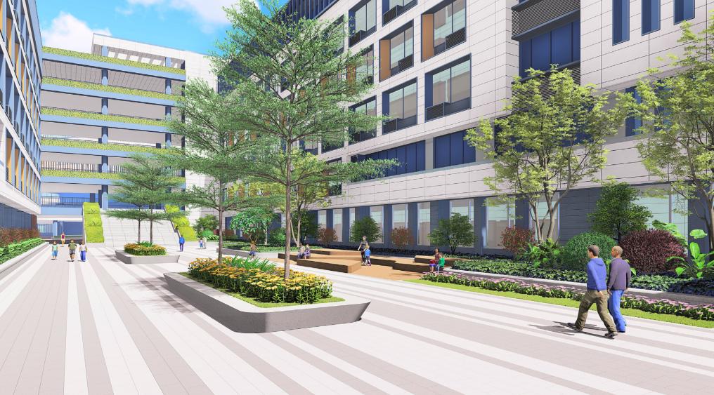 打造学生健康快乐成长的“林中学堂”，这所深圳高中做到了！