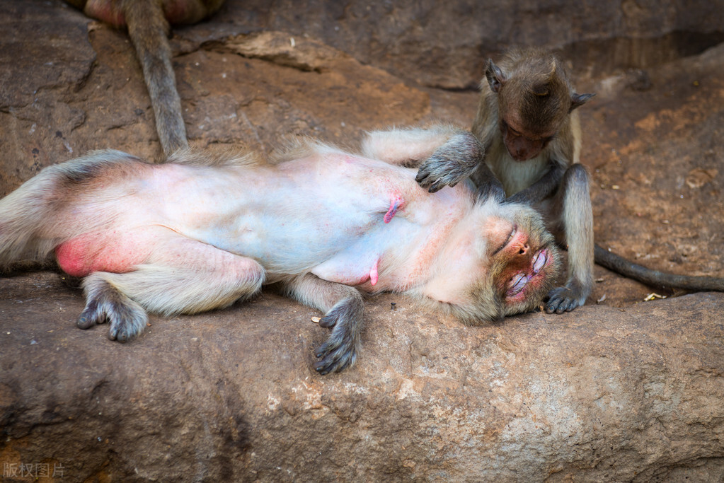 排卵期的女人会有什么变化？网友：排卵期的女人更“香”，真的吗