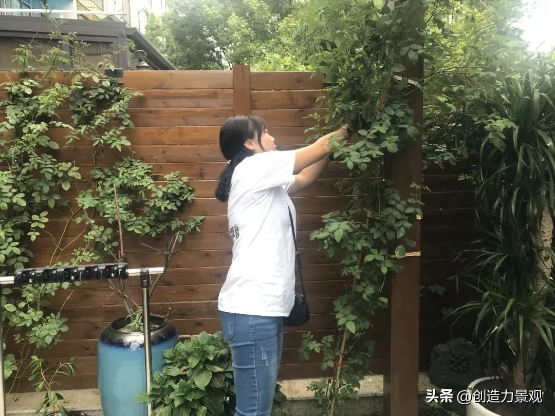 周末回访老客户的文案,回访老客户的主题