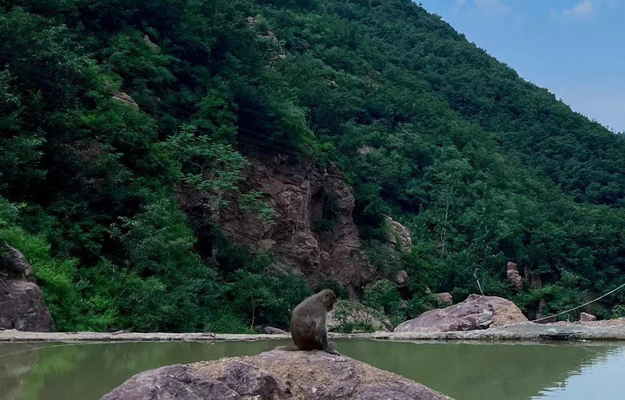 端午节郑州周边避暑游玩推荐景点,端午郑州附近游玩景点推荐一日游