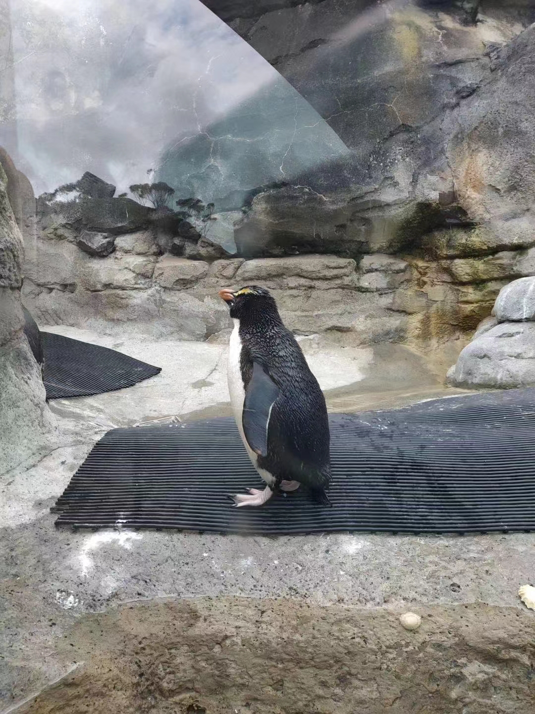 关于我用700块人民币搞定一家三口澳洲往返机票这件事