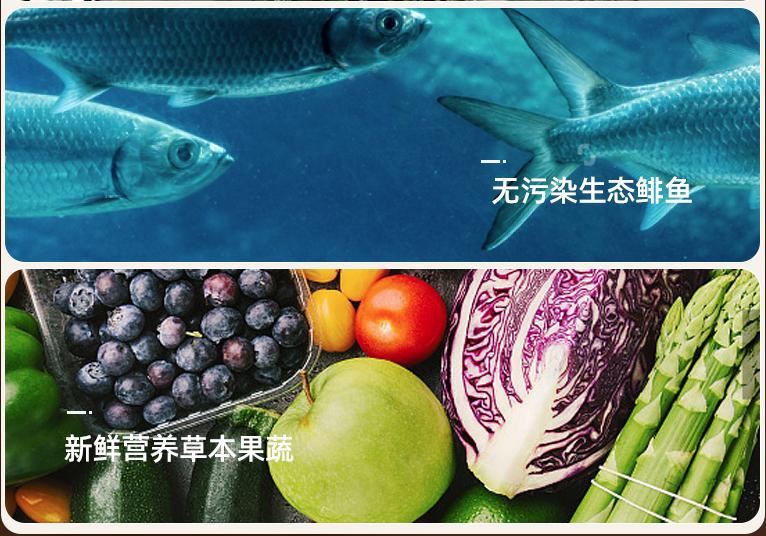 如何选猫粮猫粮排行榜,布偶猫猫粮什么牌子好又便宜