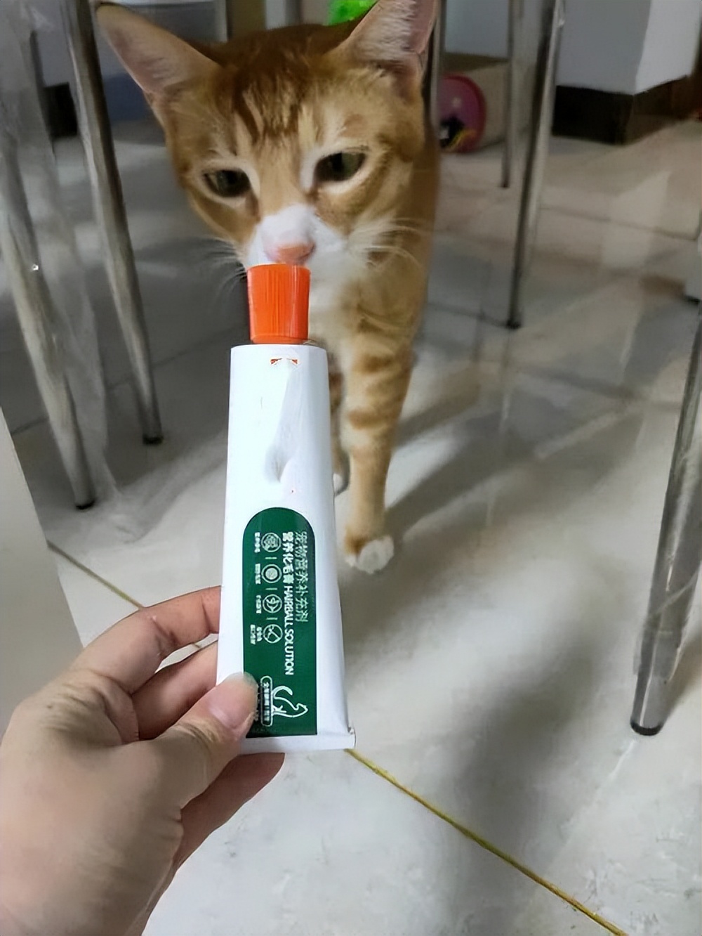 宠物是智商税吗,宠物用品智商税