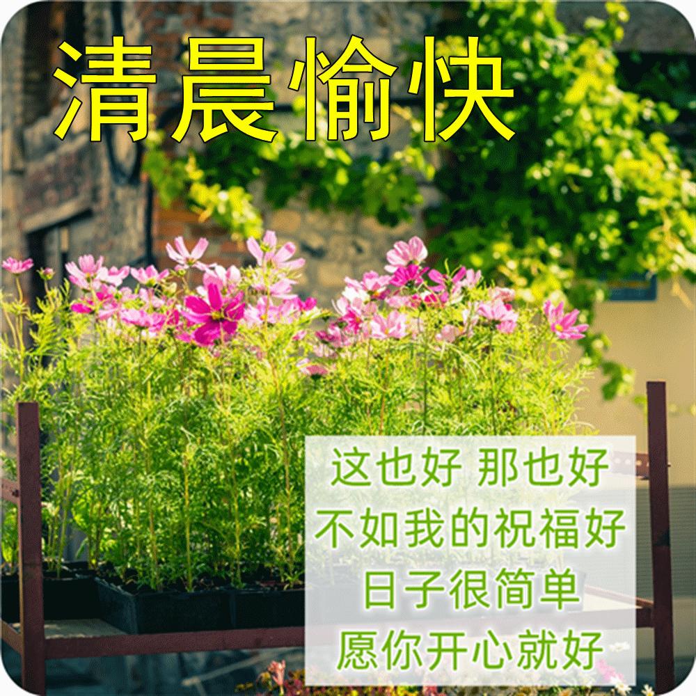 早上好大雪节气的问候暖心图片,今日大雪节气祝福早上好图片