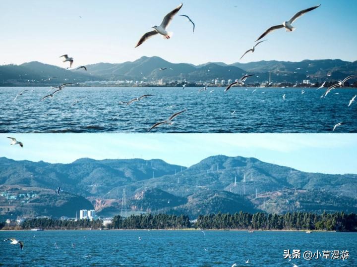 云南弥勒市旅游最该去必去景点,云南西双版纳旅游景点攻略自由行