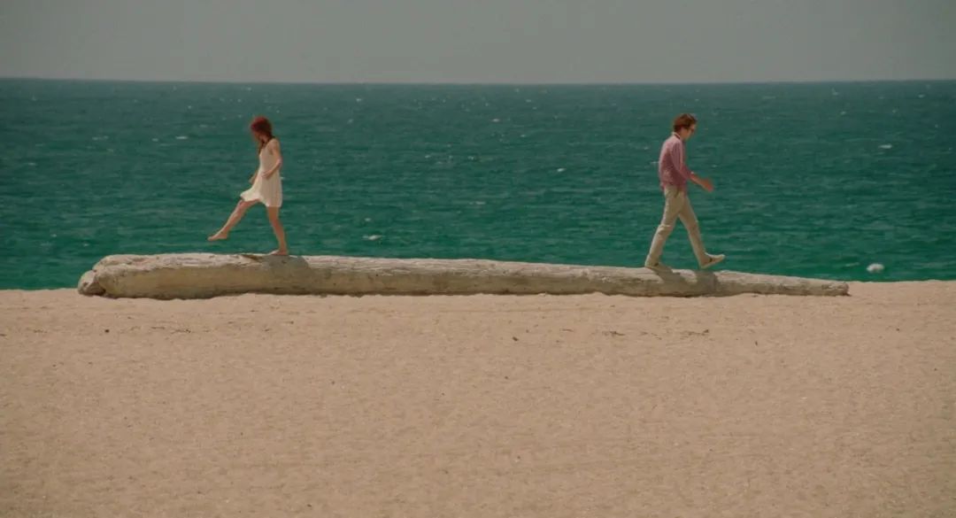 社会学谈爱情,当社会人谈恋爱