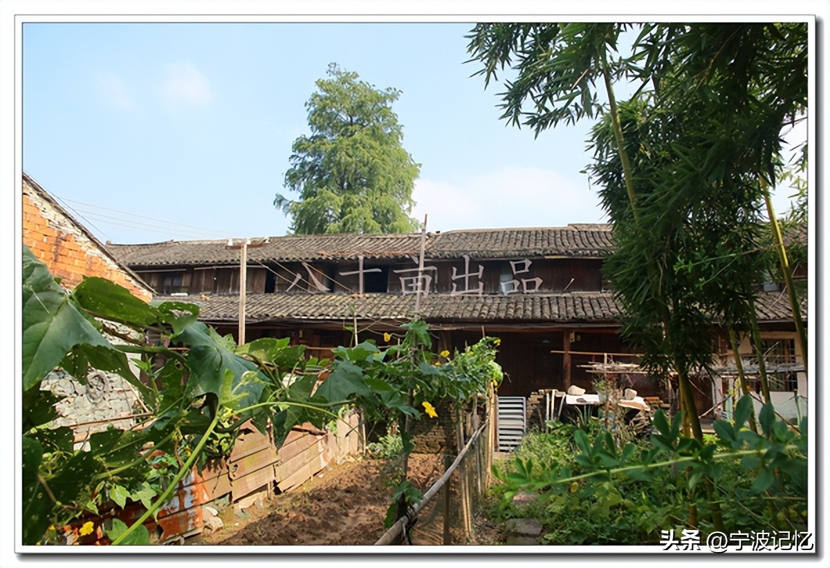 宁波市海曙区龙观乡政府网,宁波市海曙区龙观乡大庄水库