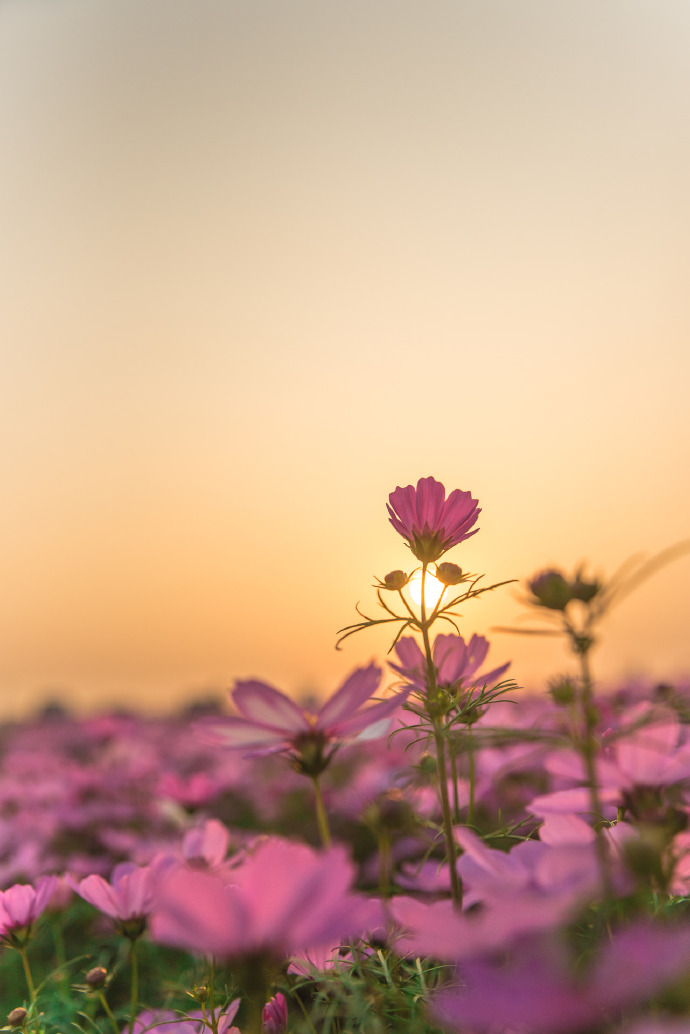 和老公过不下去应该和父母说吗,跟老公过不下去了还要孩子吗