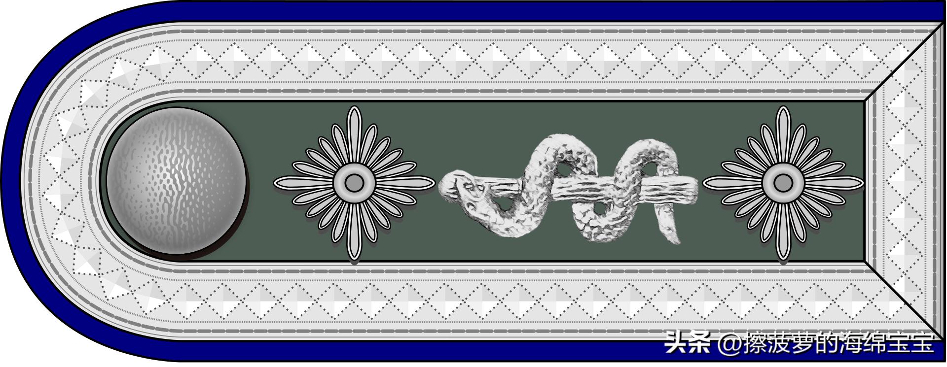 二战德国国防军医疗兵军衔标志