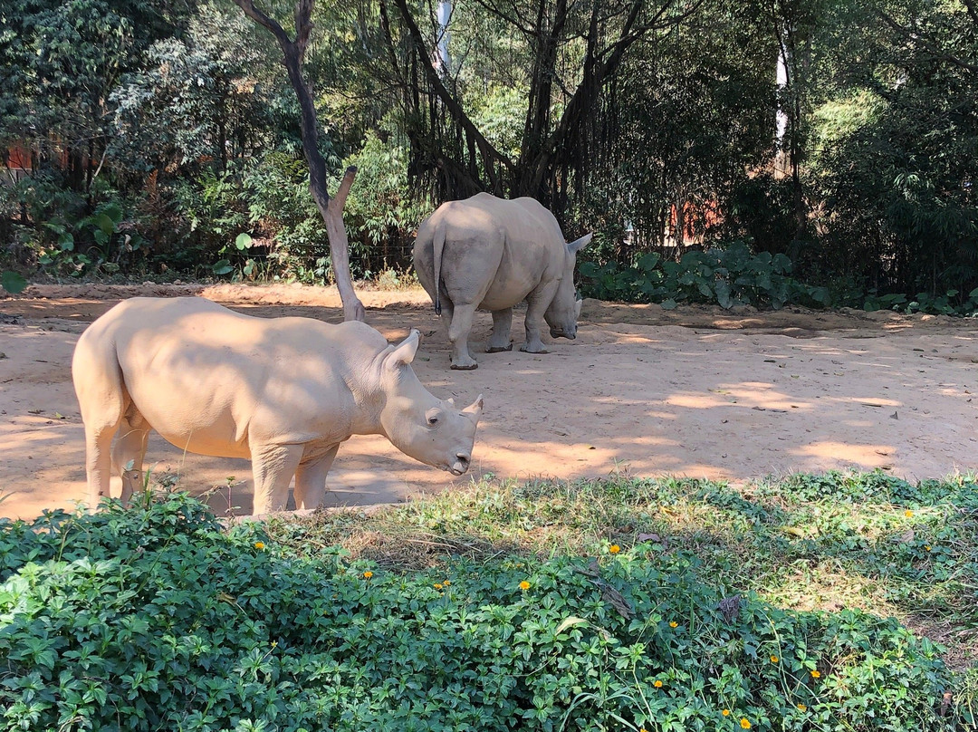 广州长隆野生动物园现在可以去吗,广州长隆野生动物园地铁哪个出口