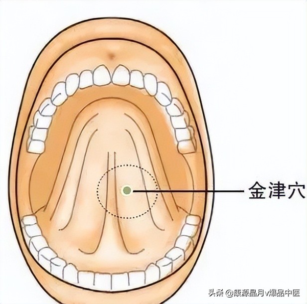 中医精华之人体特效穴,经外奇穴69个疑难杂症图解