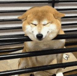 中国人下南洋如何白手起家,白手起家的人特征