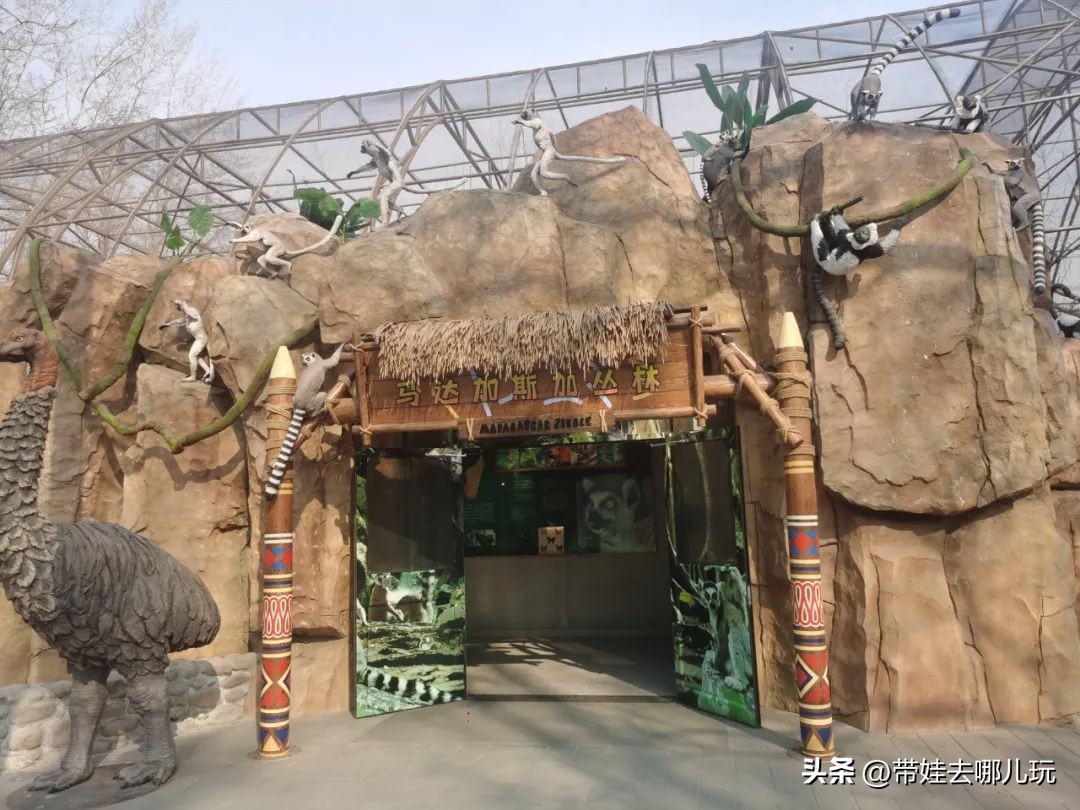 一天玩遍北京野生动物园,包场去鸟巢