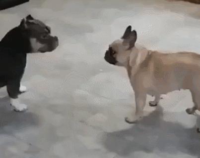 女厕的诡异事件,诡异女厕