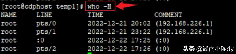 100个常用linux命令,linux常用监控命令详解