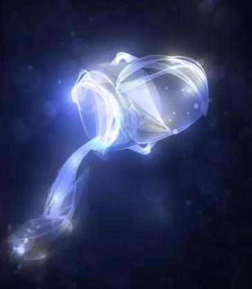 星座月份表土象星座,星座月份表农历十二月是什么星座