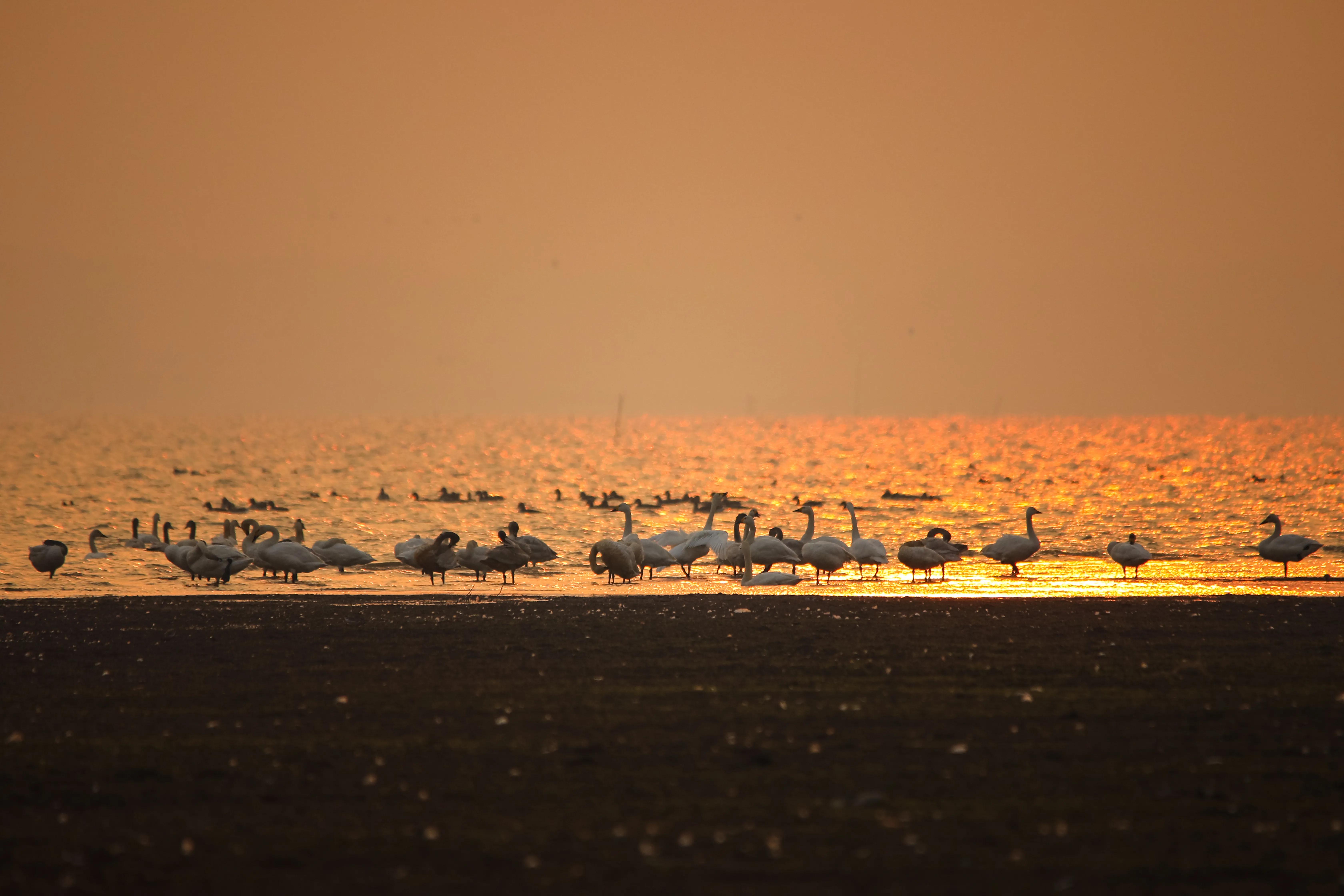 怎么样拍水流,怎么样拍水果抖音视频教程