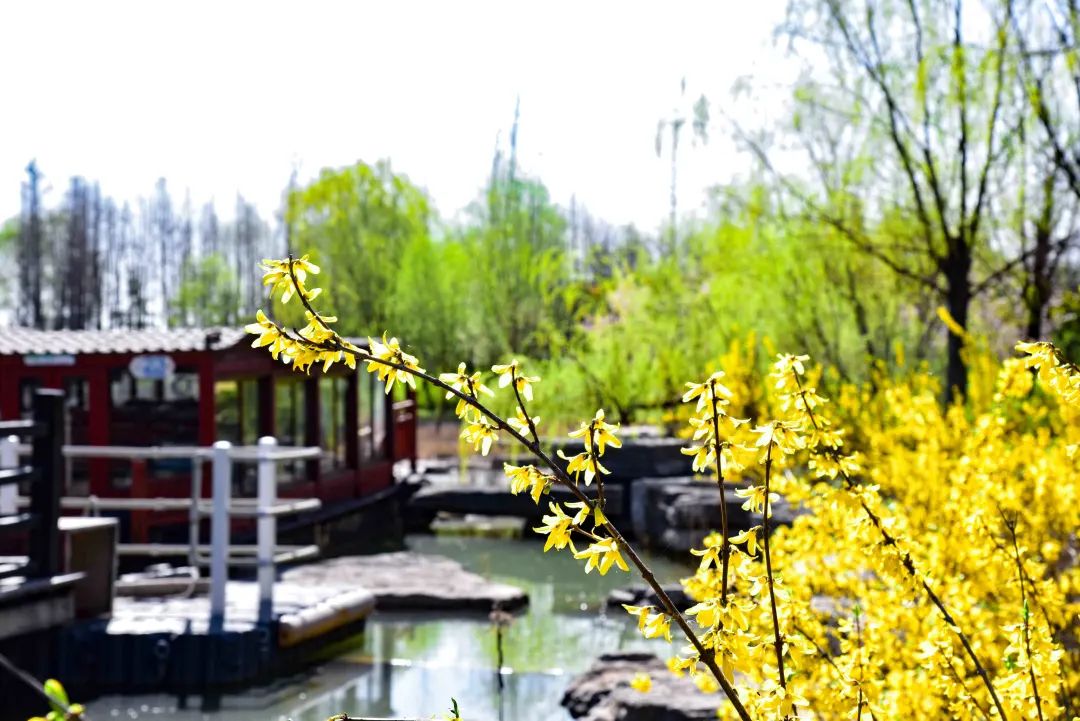 徐州春游野餐的好地方推荐,徐州最新春游推荐