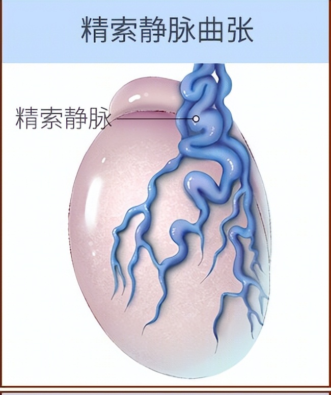 男方备孕二胎的备孕之路