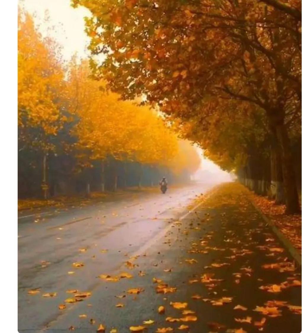 送别梅西的文案,梅西送别恩里克