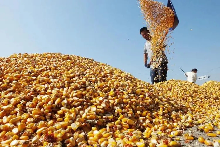 农村用电为什么没有零线,农村热水器没有地线怎么办