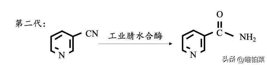 老树新芽能成材吗,老树能刻芽吗