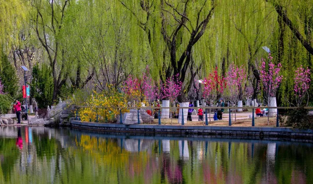 踏青济南攻略,济南黄河边春游攻略