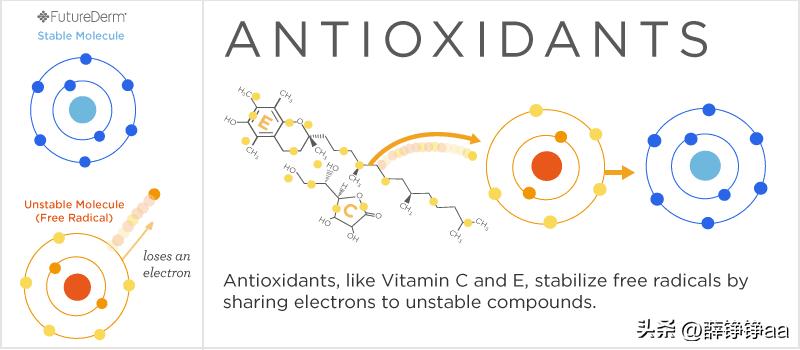 薄荷精油详细介绍,薄荷精油具有温和的能力
