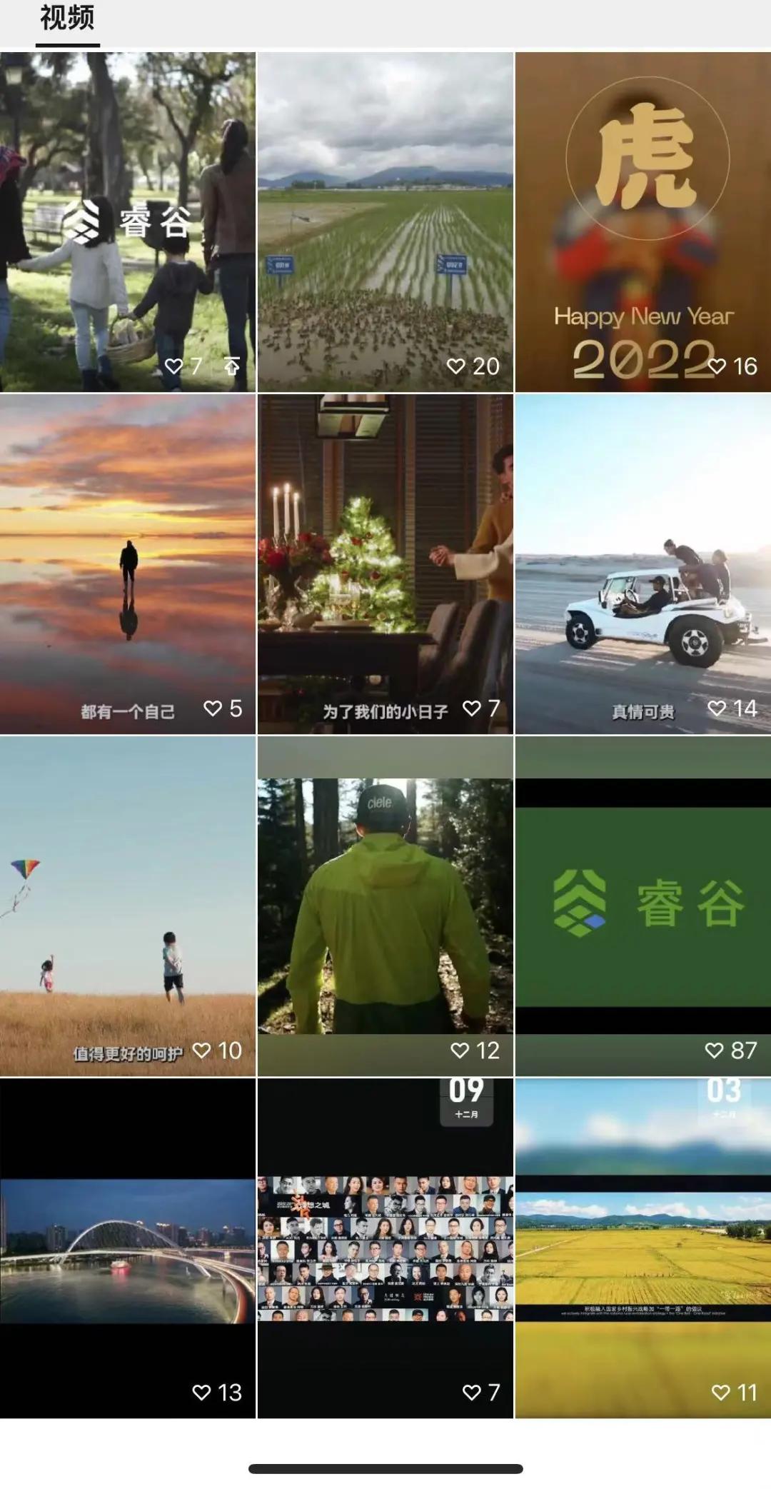 大道恒美×睿谷生态：大品牌战略，赋新生活方式营销