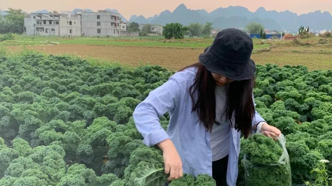 哪个行业最赚钱有前景,普通人找什么行业打工最赚钱