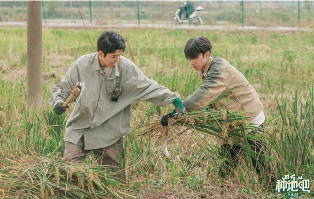 种地吧网友评价,种地吧观众评价