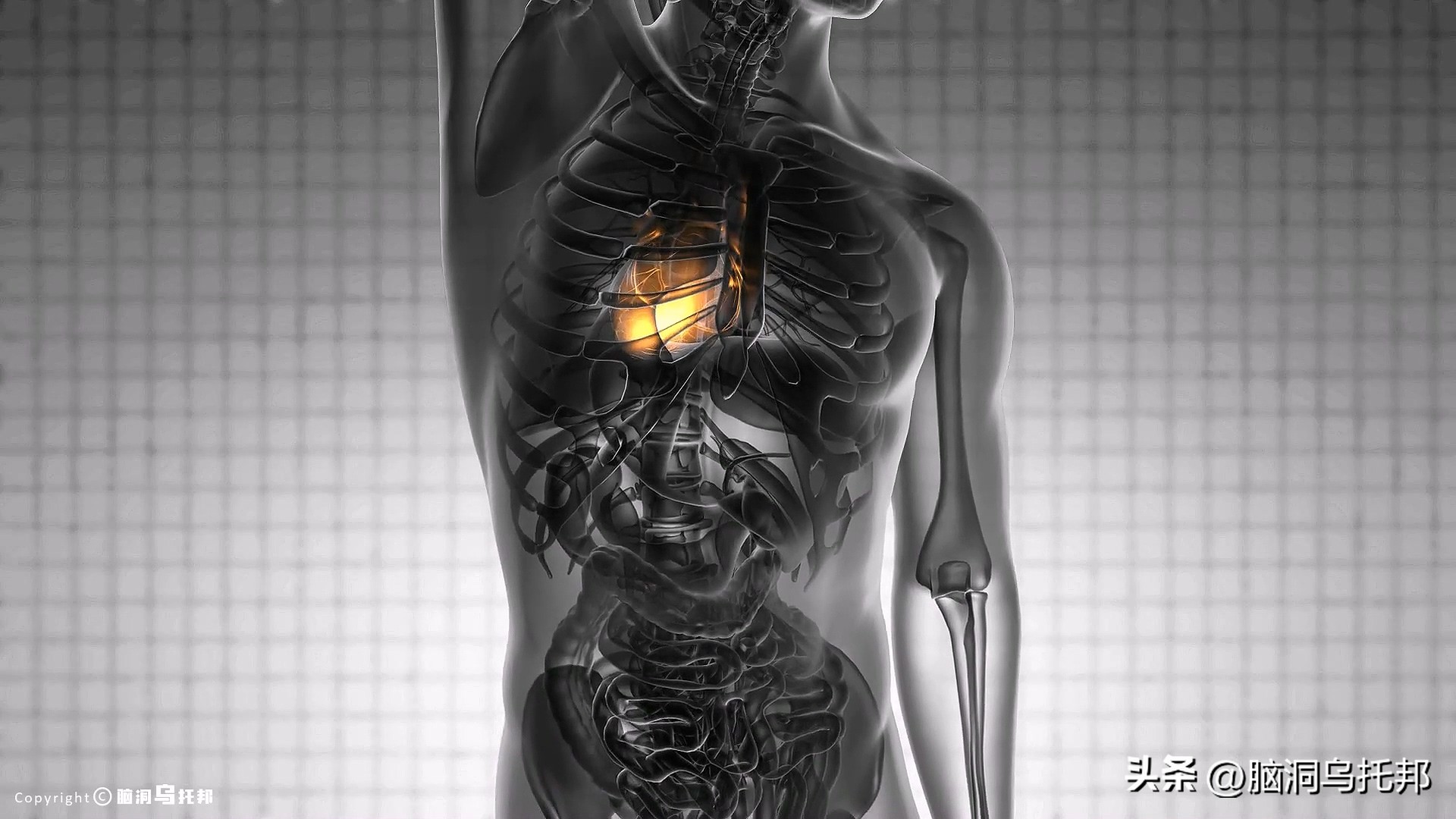 无症状感染是因为体质差吗,为什么有的人感染症状轻