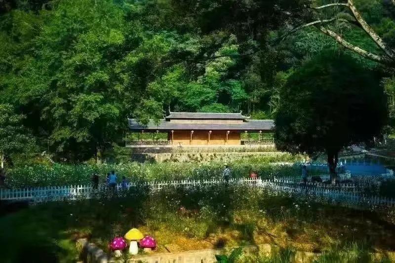 广东二日一夜的温泉之旅,韶关20元一日游