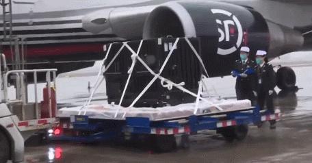 大熊猫香香回国香香出生,大熊猫香香回国后首次露面