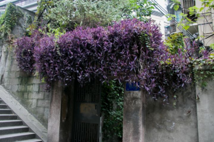 重庆主城小众打卡地,重庆周边小众自驾旅游