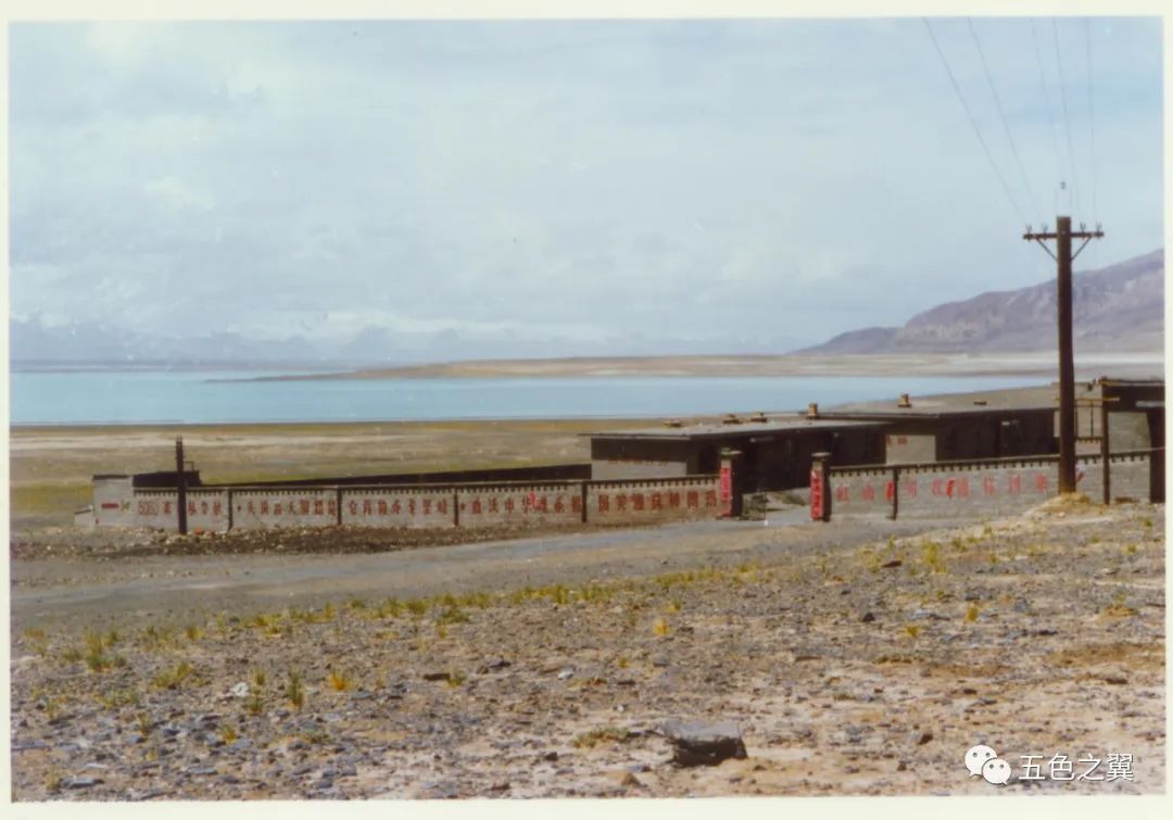 5060米红山河机务站：海拔太高，兔子——牺牲了