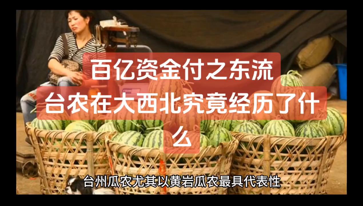 农业亏损1000万怎么办,台农创业现状如何