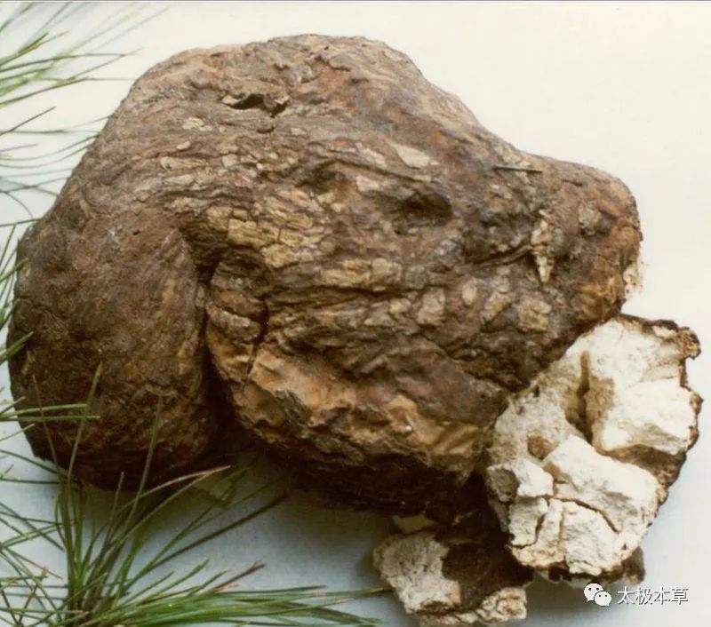 一味中药治脂溢性皮炎,治疗斑秃的药治疗脂溢性脱发吗