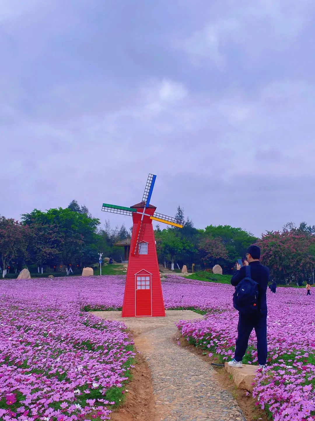 鼓浪屿可以当天预订船票攻略 (鼓浪屿还有免费的船票吗)