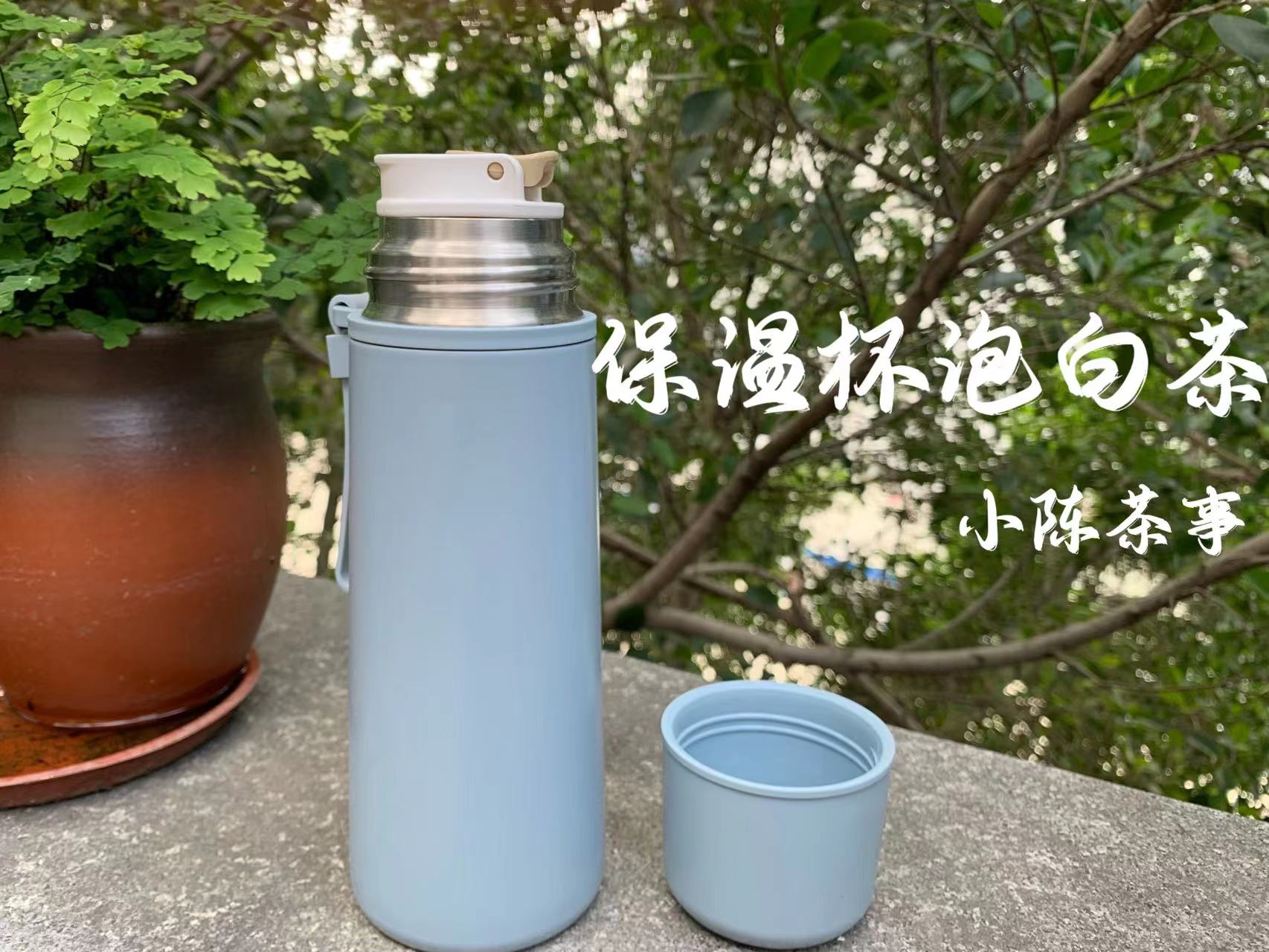 用保温杯可以煮什么茶,冬天怎么用保温杯泡茶