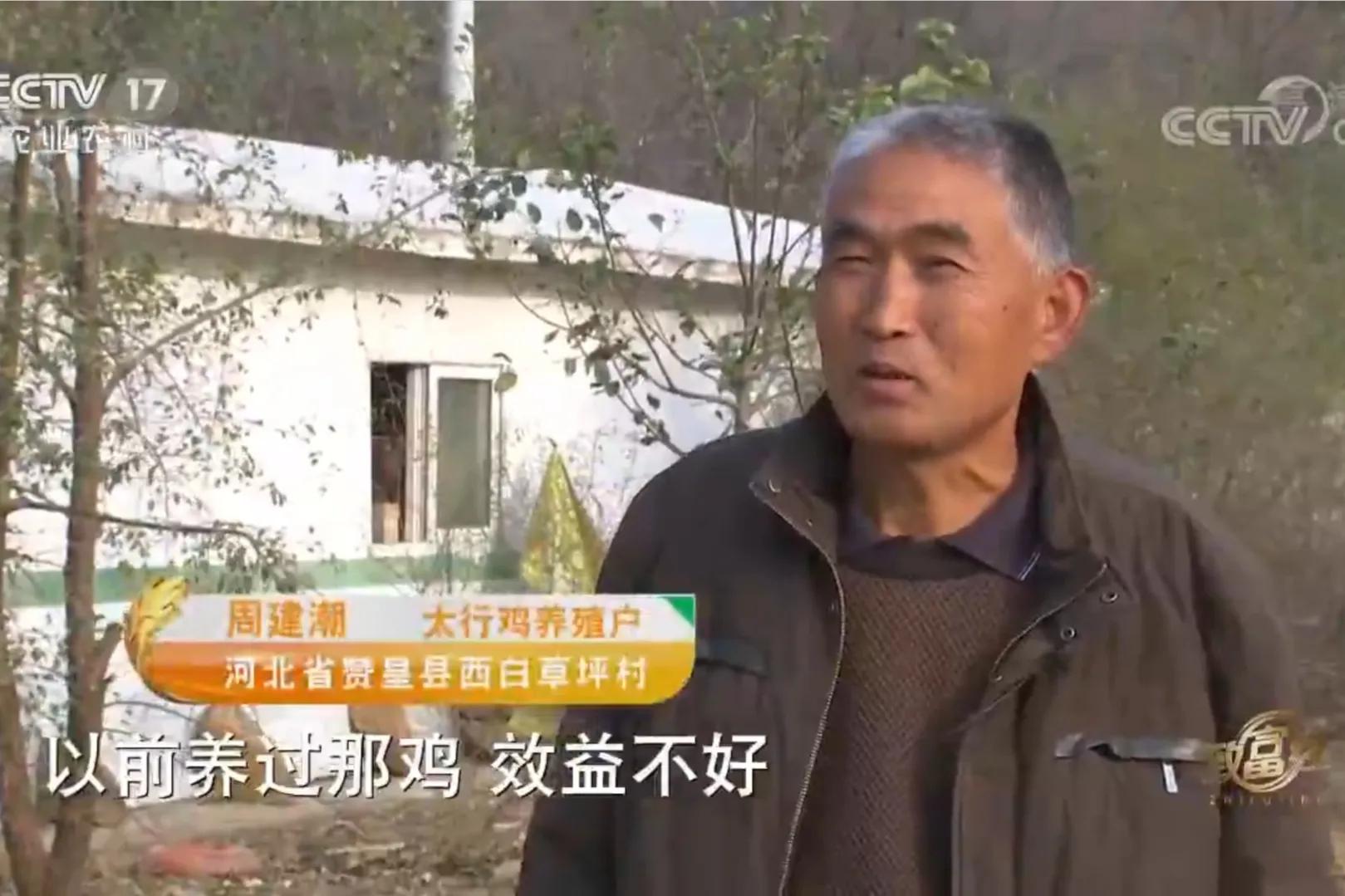 一小伙承包荒山搞养殖年挣百万,河北小伙种100亩地一年赚多少钱